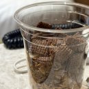 브라운도트(갓바위점) 이미지