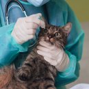 바른길병원 이미지