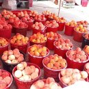 순흥농원 이미지