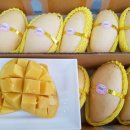 불당야채과일