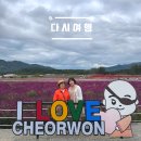 고석정나들이 | [철원 고석정 꽃밭] 가족과 함께 가기 좋은 고석정 꽃밭, 추석연휴 철원 나들이 후기, 가을에 여기 좋아요!