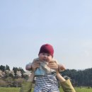 포동목장 이미지