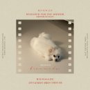 롤매트(ROLLMAT) | 강아지 미끄럼방지 매트, 비엔메이드 무드 롤 매트 추천