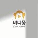 💍 [식전영상] 드디어 완성! 가성비+감성 다 잡은 '비디몽' 식전영상 솔직 후기 📽️