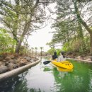 호텔풀리벤시아 이미지