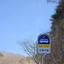 광양사슴농장 이미지