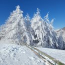 대둔산목장 이미지