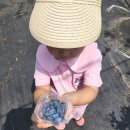 [용인] 처인구 아이랑 주말 , 농작물 수확 동물먹이주기체험 | 헤븐온어스 후기