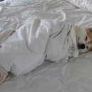 청진동해장국 앞 이미지