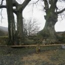 예성여관 이미지