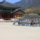 홍척 이미지
