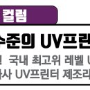 디엔피플 이미지