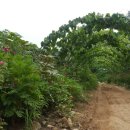 유용준농장 이미지