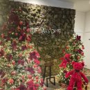 랑데자뷰 상무점 | 광주 아침카페 24시간 랑데자뷰 상무점