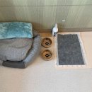 오마이펫 이미지