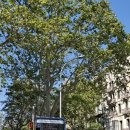 동멍약국 | 유럽 이심 추천 스페인 ESIM 사용법 속도 찐 빠른 링심 후기