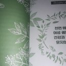 천연헤나 이미지