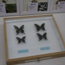 한남대학교 자연사박물관 이미지