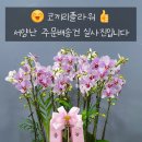 영전농장 이미지