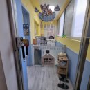 멍블멍블 이미지