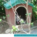 펜션델리앙 이미지