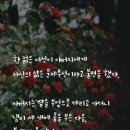 베이비꼬망 이미지