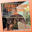 세븐일레븐 대전노은광장점 | 대전 파충류샵 디어렙 대전 노은본점 2탄｜설명 맛집 사장님 덕분에 ‘키울까?’가 됐었다