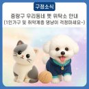 금란동물애견 이미지