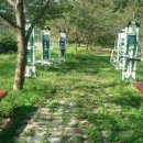 두척계곡 이미지