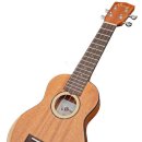 우쿨렐레연주 이미지