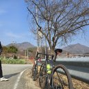 복탄1길 이미지