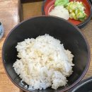 연수동 돈까스 맛집 하나미 솔직 후기