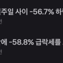 도그시장 이미지