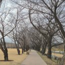 동천 수변공원 이미지