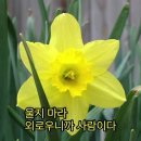 사림