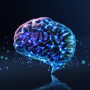 세컨드브레인 이미지