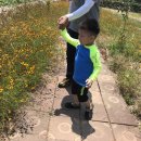 송시마을체험장 이미지