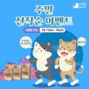 이메이드 | 2022 서울캣쇼 이벤트 많은 캣페어 고양이집사 방문후기