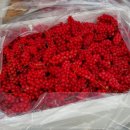 달빛고은농장 이미지