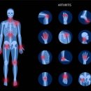 PT의 품격 이미지
