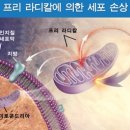 라온식품 이미지