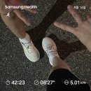 성남종합운동장 주경기장 | 런린이의 5km 러닝 기록 (성남종합운동장 주경기장 트랙)