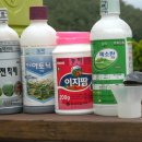 농약팜