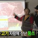 투뿔한우 | 포항 남구 투뿔한우 화로구이 욜 후기 포항 한우 맛집 추천