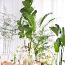 청계산로 이미지