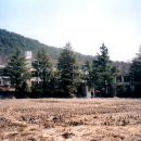 (학교)영동초 이미지