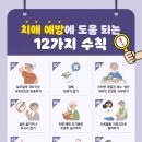 치매예방 실버보드게임(60세이상) | 65세 이후 실천하면 좋은 치매예방 생활습관 10가지