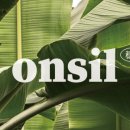 온실(onsil)
