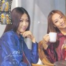 비비B.B