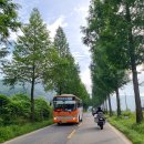 등대로R 이미지